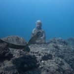 a buddha statue underwater
