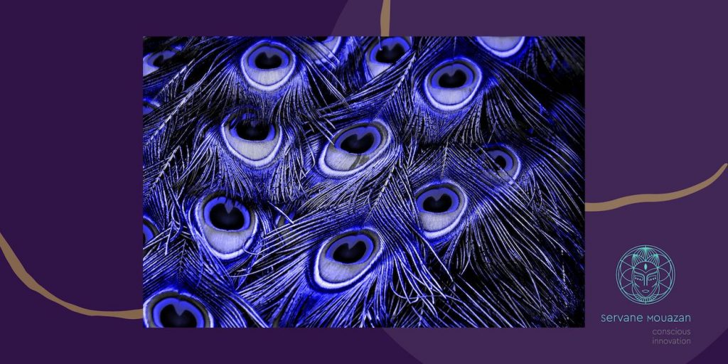 Peacock feather on a purple background. Servane Mouazan - Conscious Innovation Logo